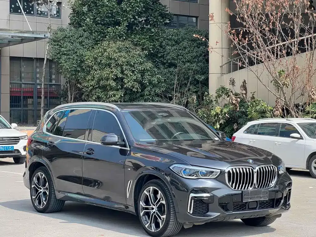 BMW X5 2022 из CN, фото 3