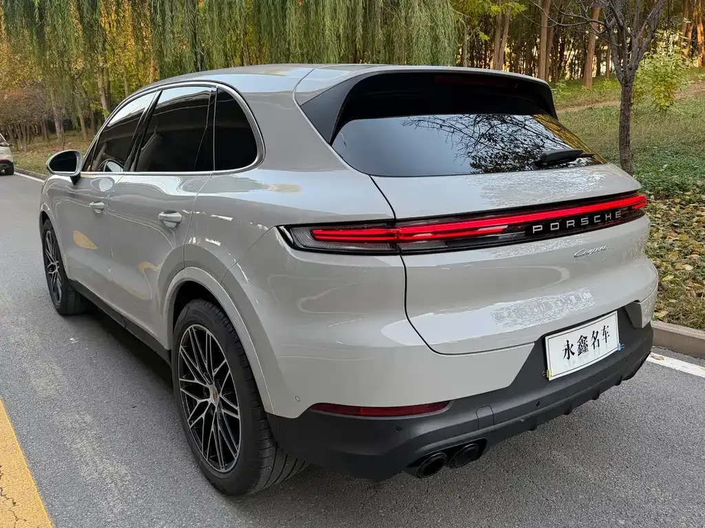 Porsche Cayenne 2024 из CN, фото 10