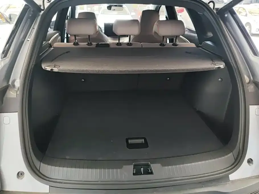 BYD Pro New Energy 2023 из CN, фото 4