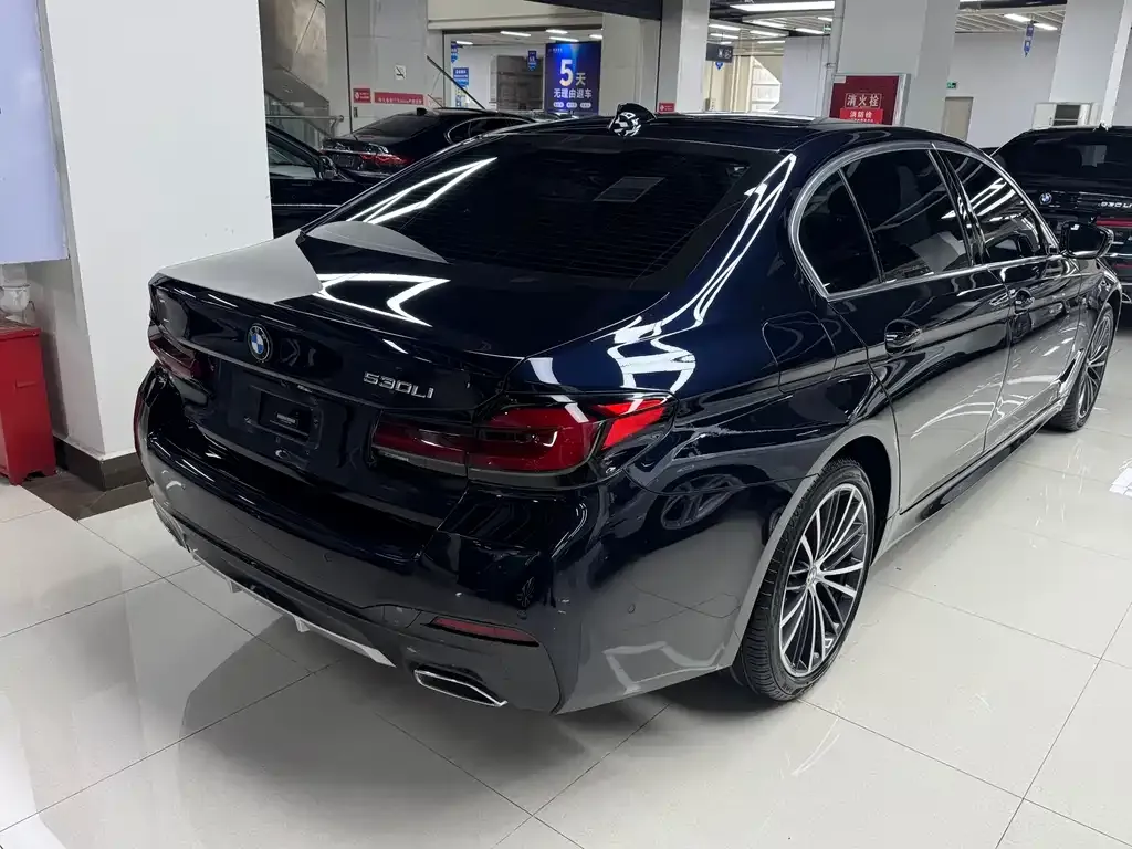BMW 5 Series 2021 из CN, фото 4