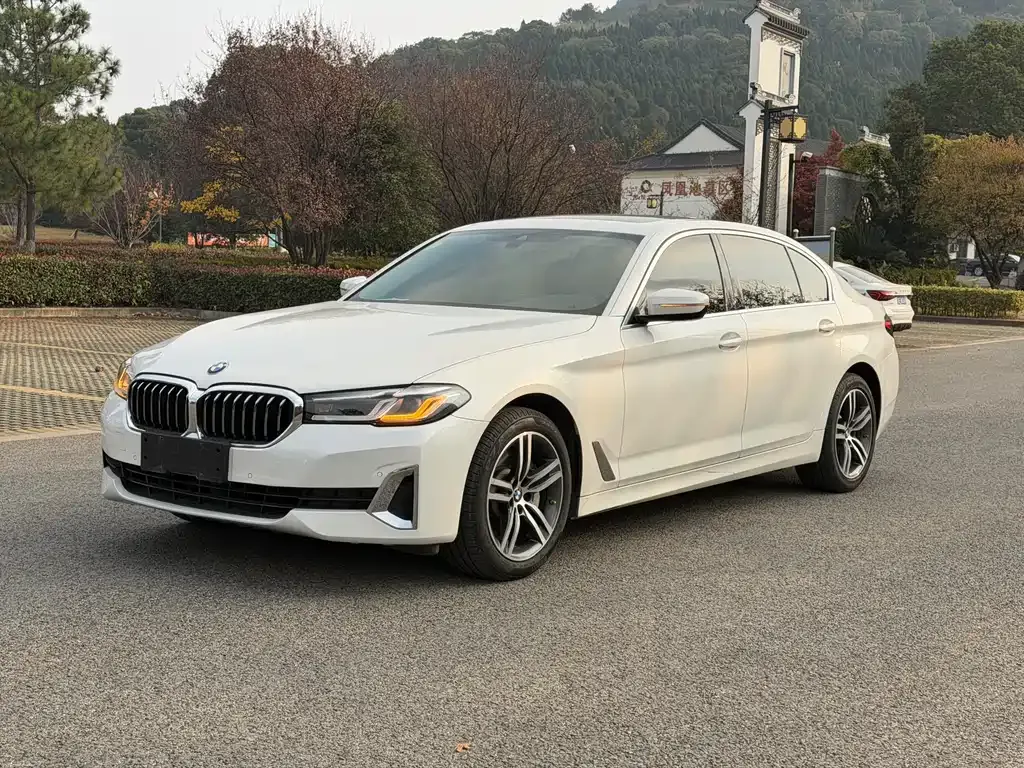 BMW 5 Series 2021 из CN, фото 1