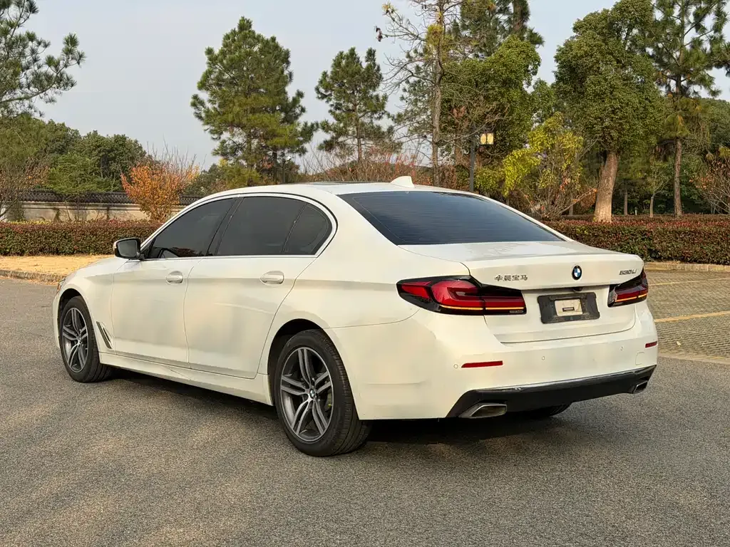 BMW 5 Series 2021 из CN, фото 10