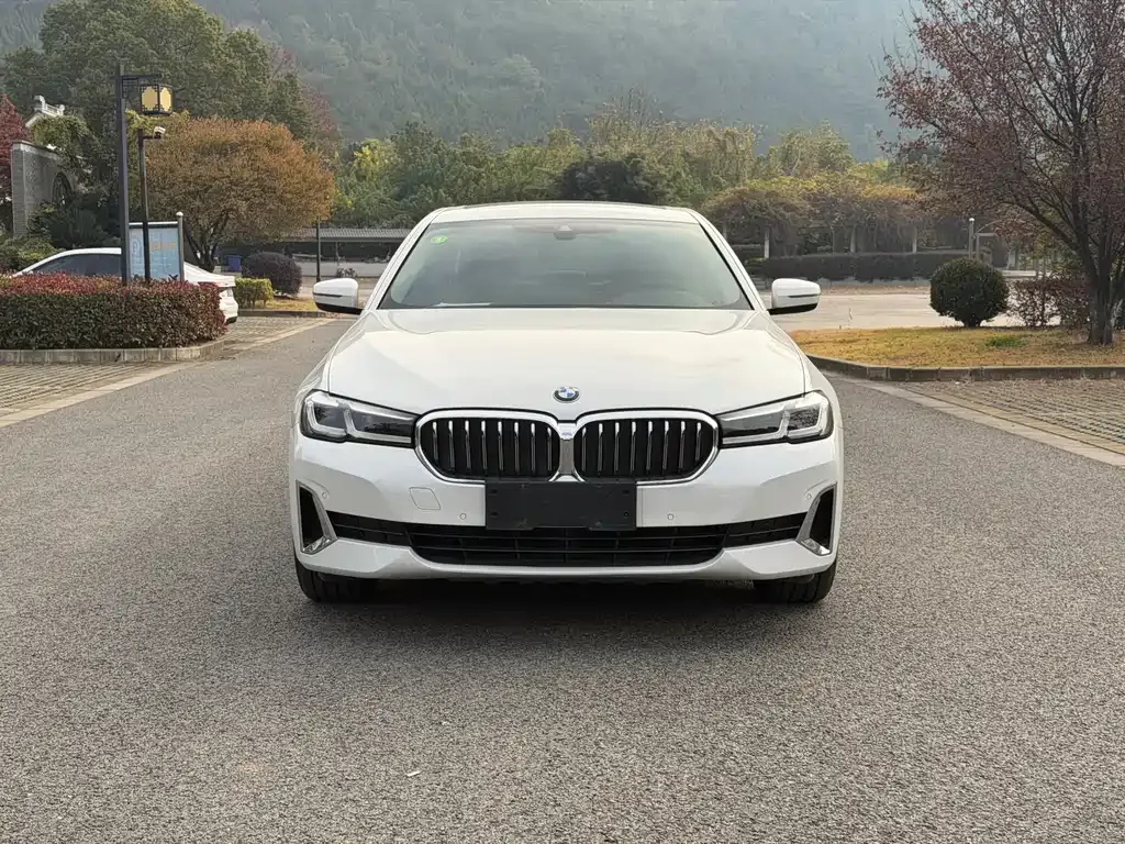 BMW 5 Series 2021 из CN, фото 2