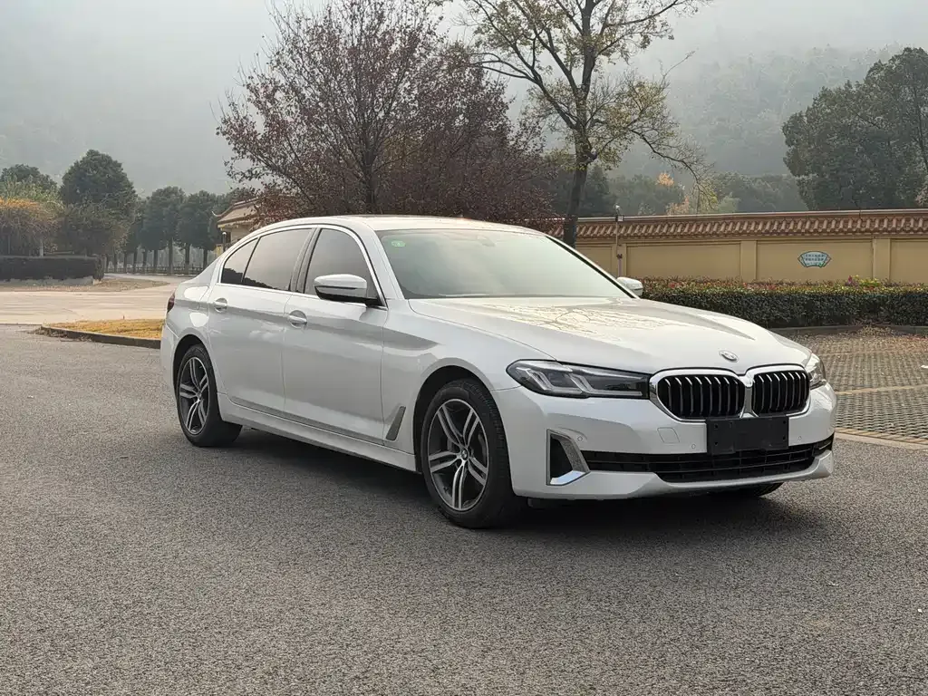 BMW 5 Series 2021 из CN, фото 3