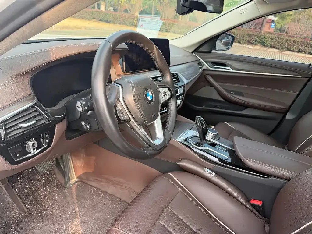 BMW 5 Series 2021 из CN, фото 4
