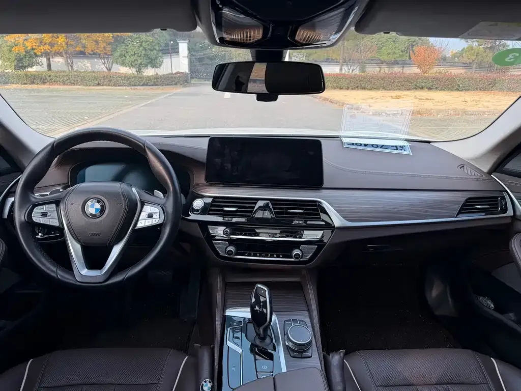 BMW 5 Series 2021 из CN, фото 5