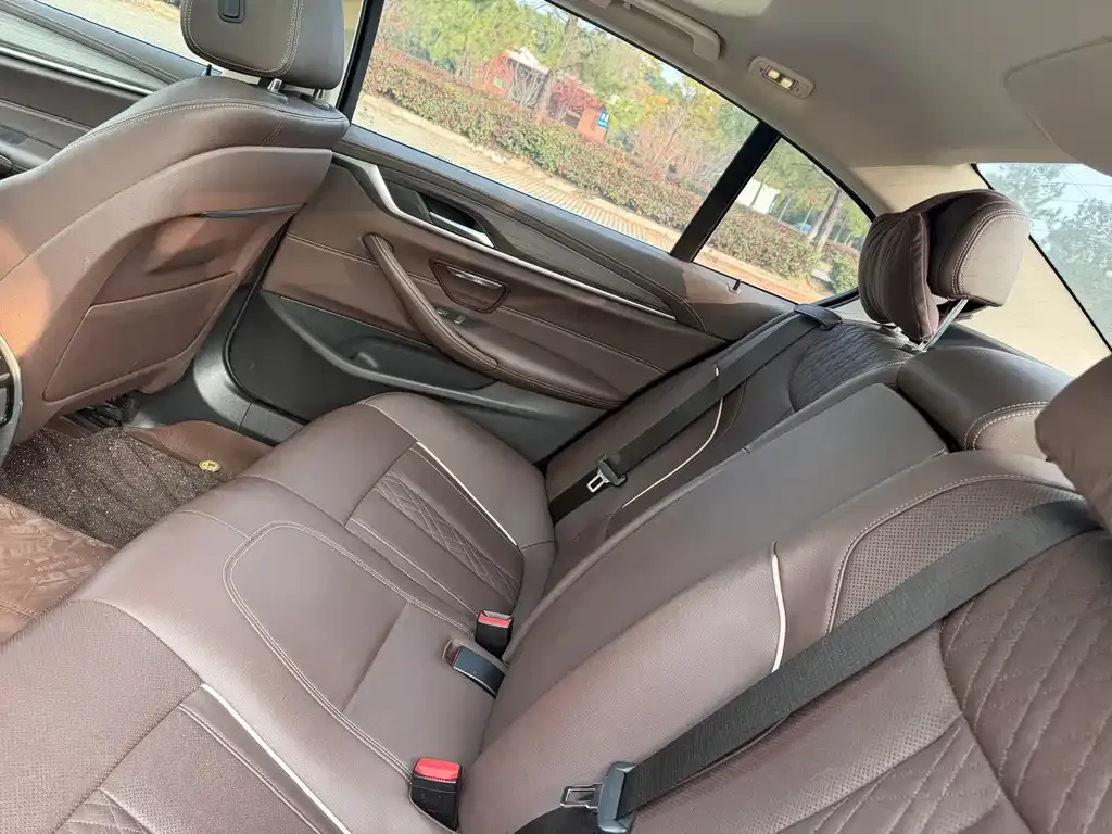BMW 5 Series 2021 из CN, фото 6