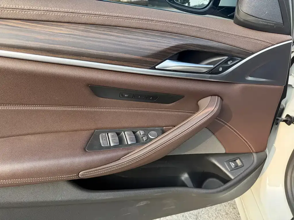 BMW 5 Series 2021 из CN, фото 7