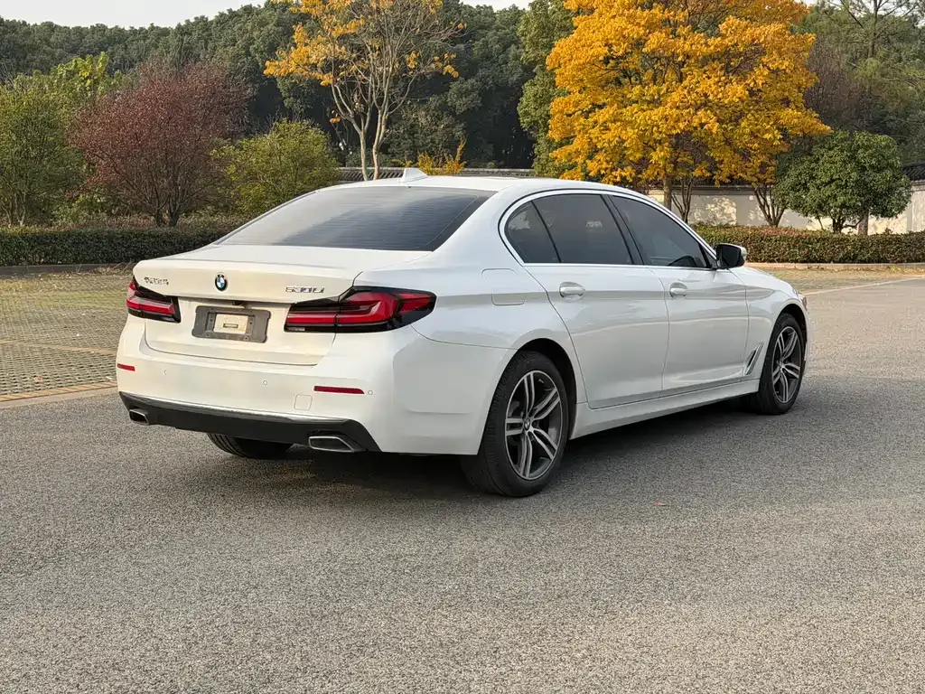 BMW 5 Series 2021 из CN, фото 8