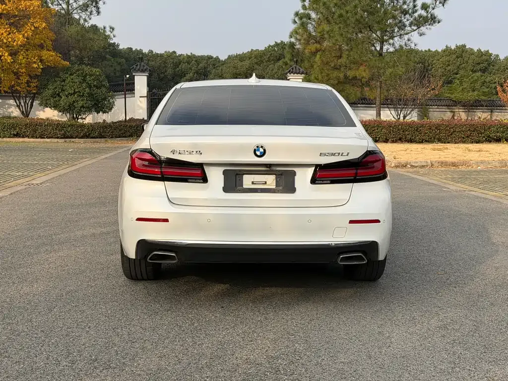 BMW 5 Series 2021 из CN, фото 9