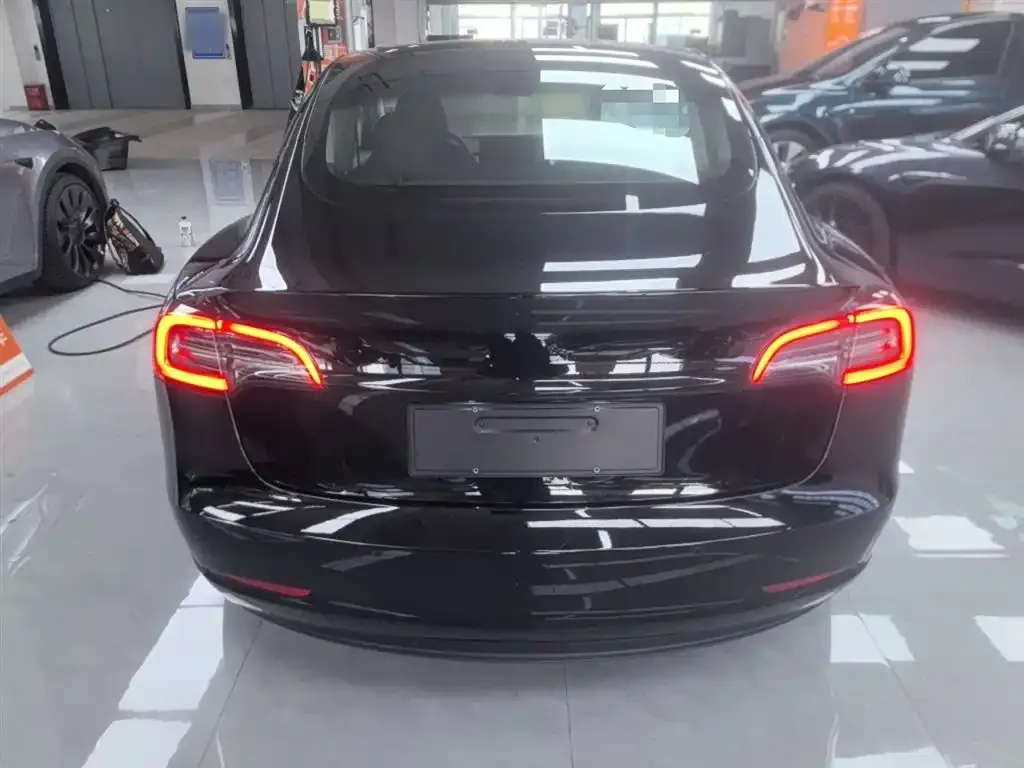 Tesla Model 3 2023 из CN, фото 6