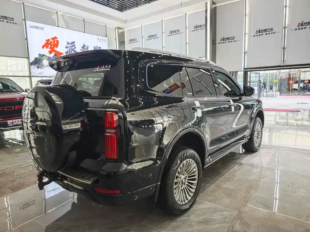 Tank 500 New Energy 2024 из CN, фото 6