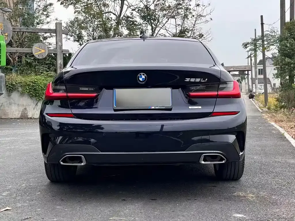 BMW 3 Series 2021 из CN, фото 8