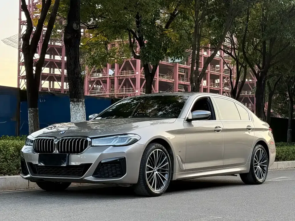 BMW 5 Series 2022 из CN, фото 1