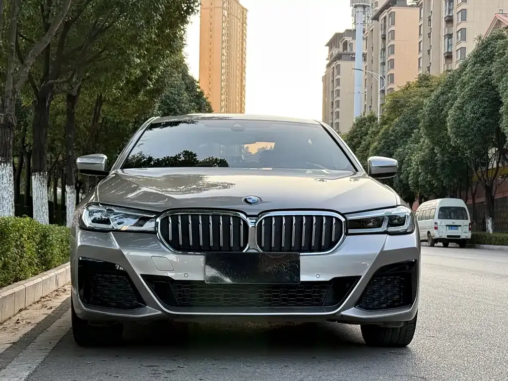 BMW 5 Series 2022 из CN, фото 2