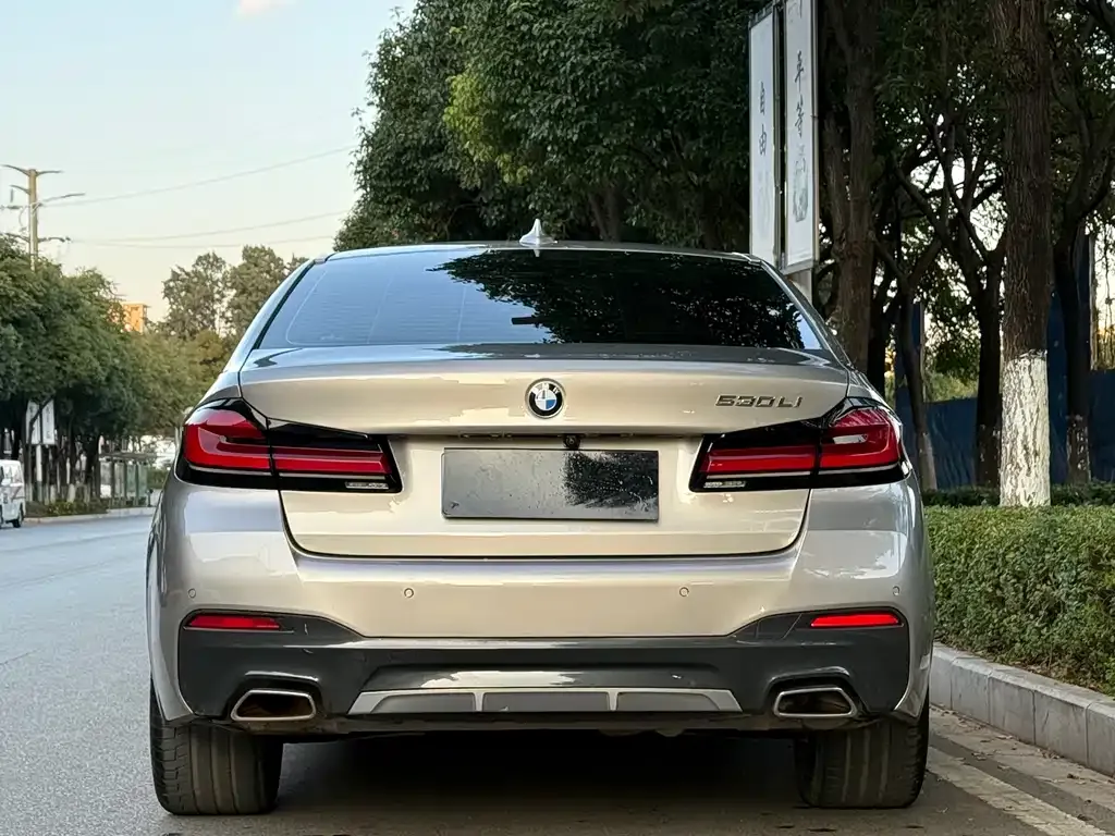 BMW 5 Series 2022 из CN, фото 3