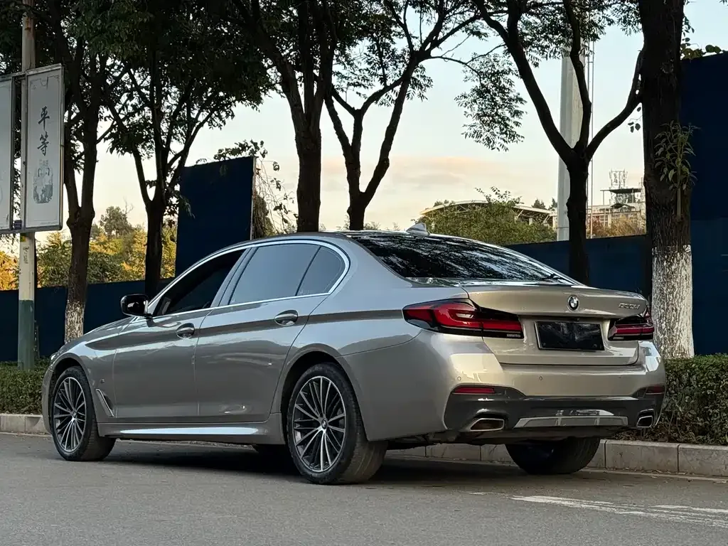 BMW 5 Series 2022 из CN, фото 4