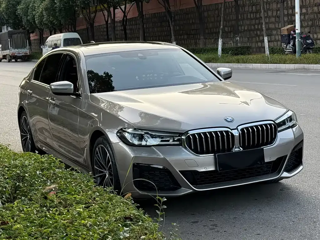 BMW 5 Series 2022 из CN, фото 5