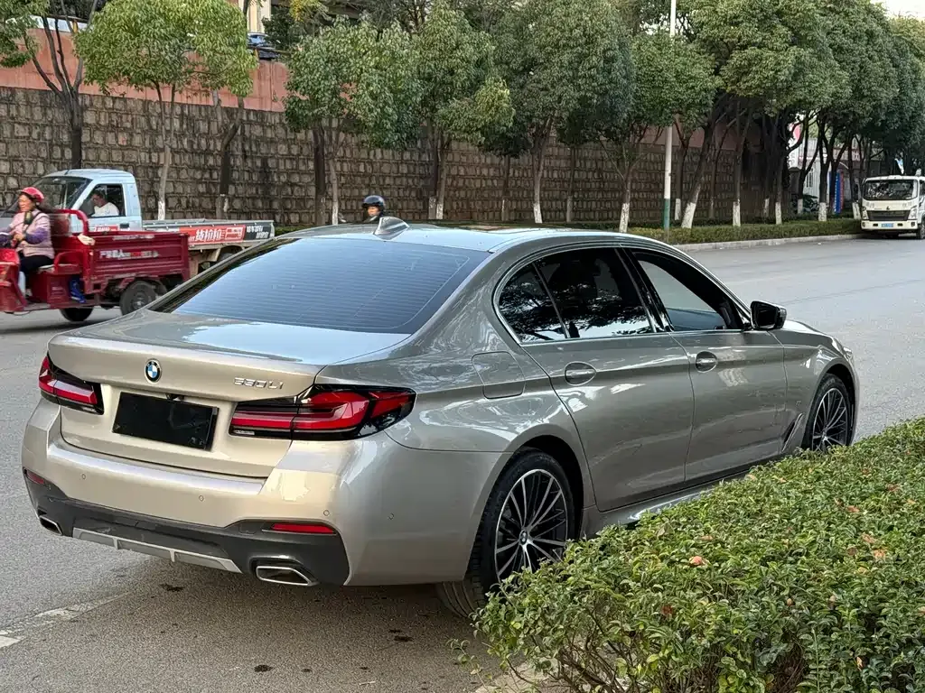 BMW 5 Series 2022 из CN, фото 6