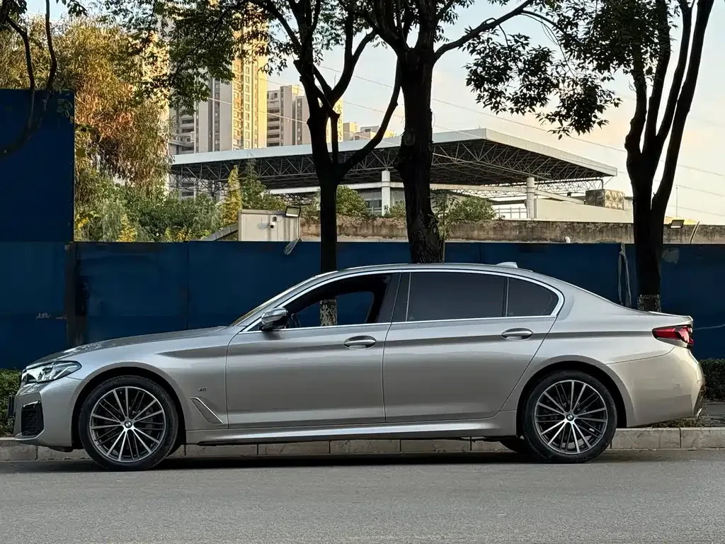 BMW 5 Series 2022 из CN, фото 7