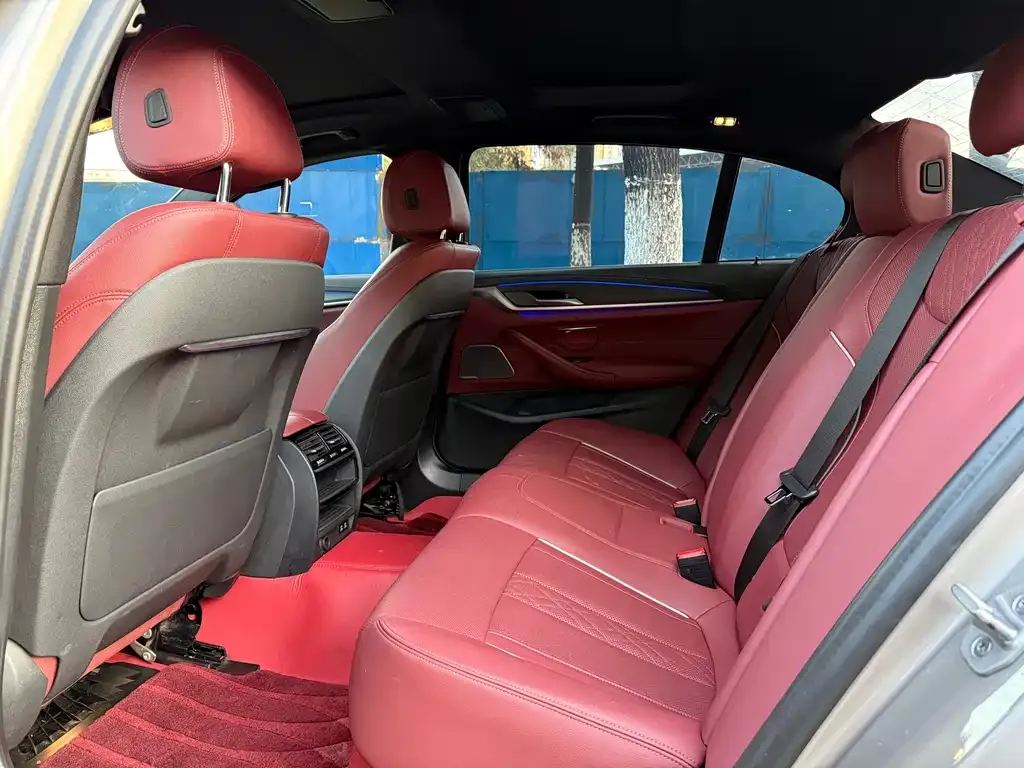 BMW 5 Series 2022 из CN, фото 9