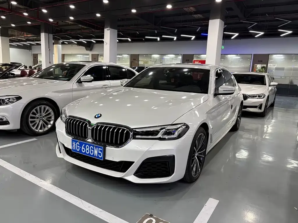 BMW 5 Series 2021 из CN, фото 1