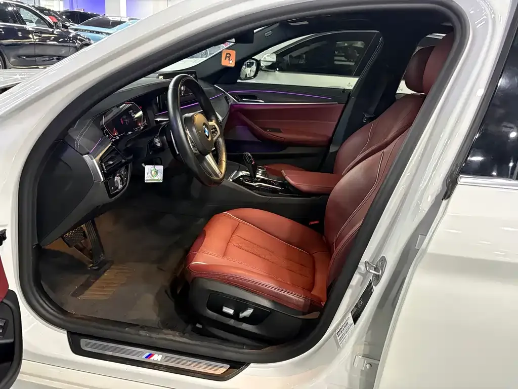 BMW 5 Series 2021 из CN, фото 10