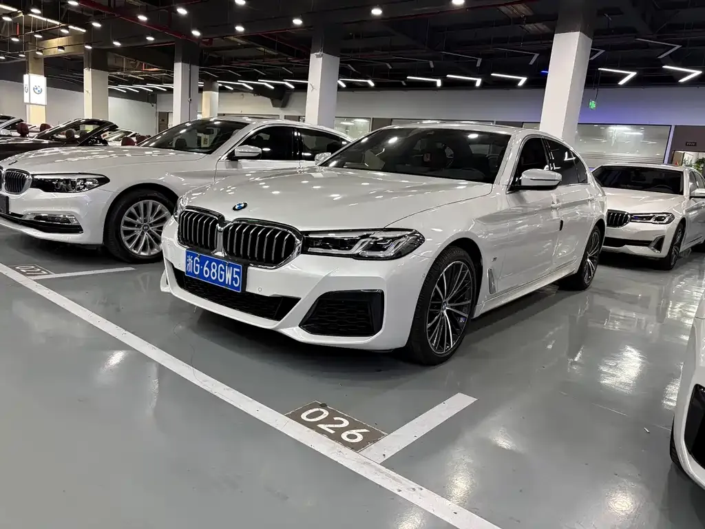 BMW 5 Series 2021 из CN, фото 2