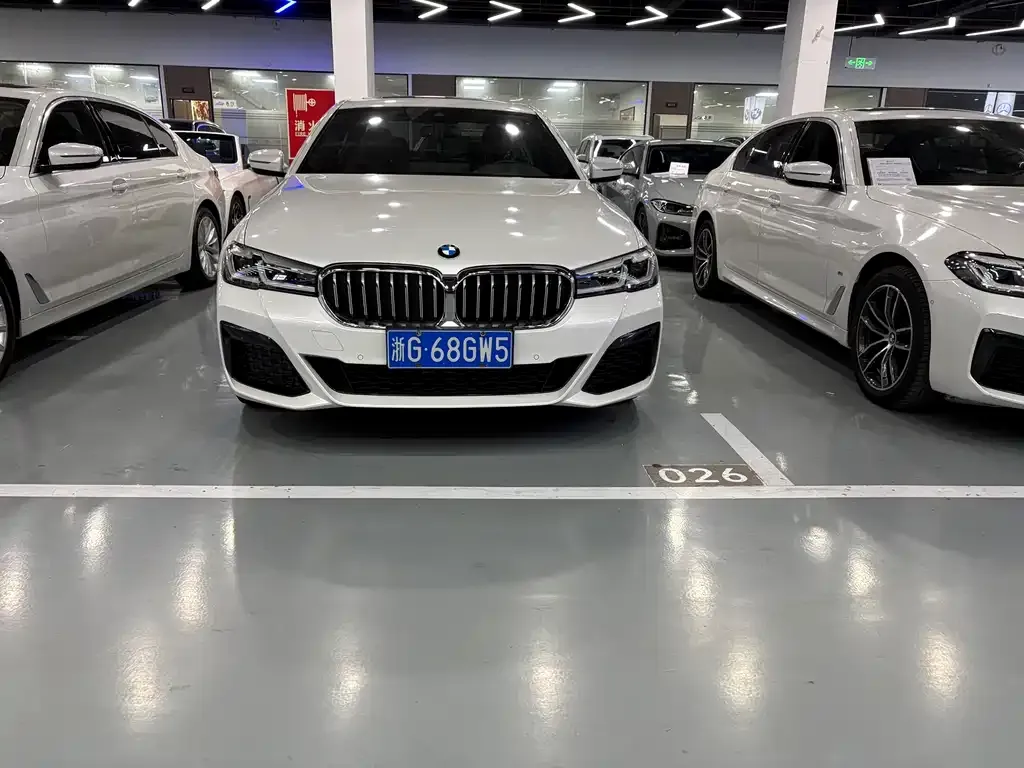 BMW 5 Series 2021 из CN, фото 3