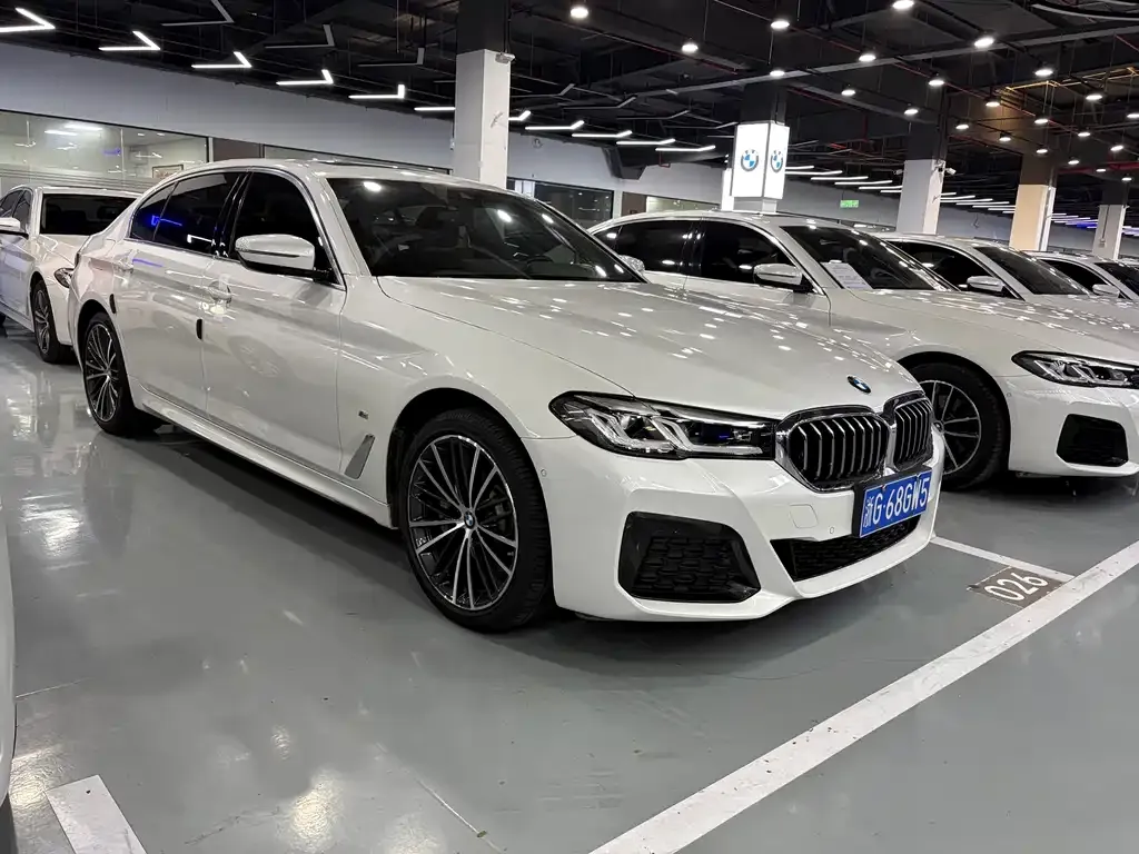 BMW 5 Series 2021 из CN, фото 4
