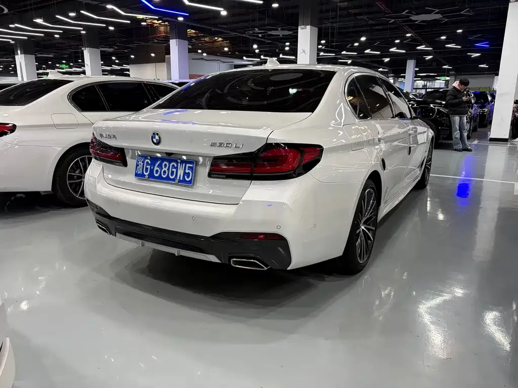BMW 5 Series 2021 из CN, фото 6