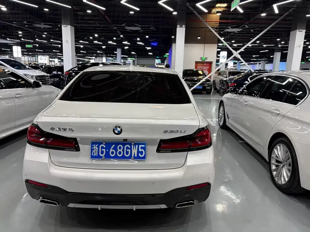 BMW 5 Series 2021 из CN, фото 7