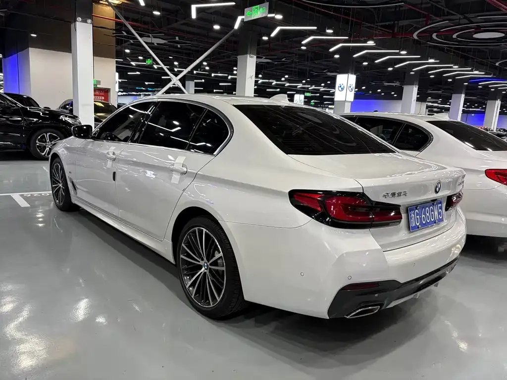BMW 5 Series 2021 из CN, фото 8