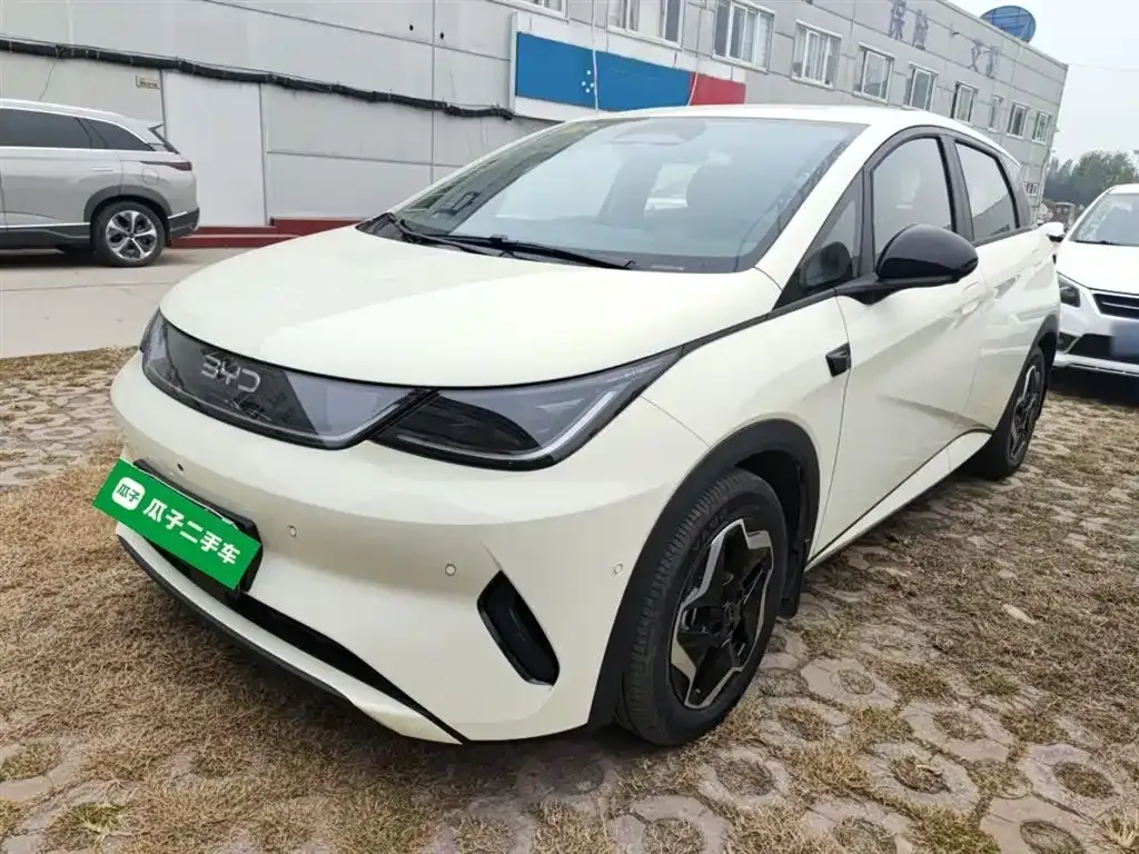 BYD Dolphin 2025 из CN, фото 1