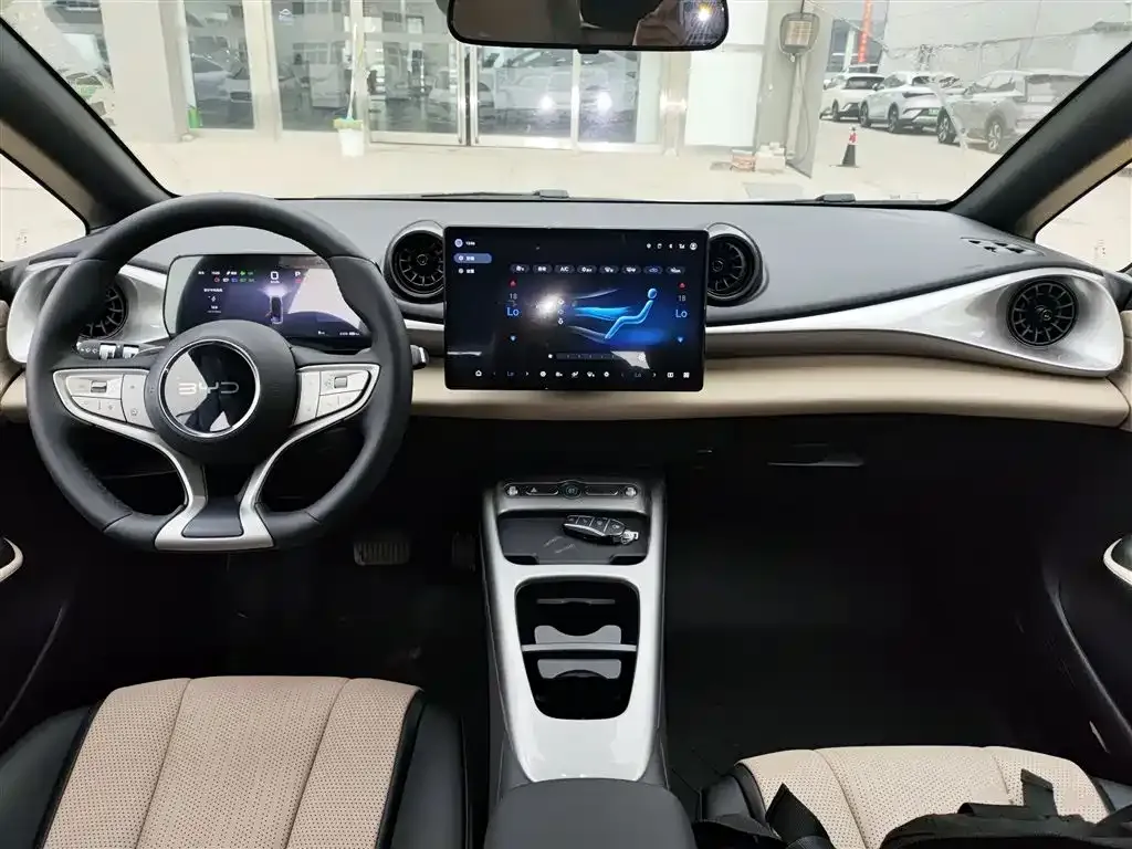 BYD Dolphin 2025 из CN, фото 10