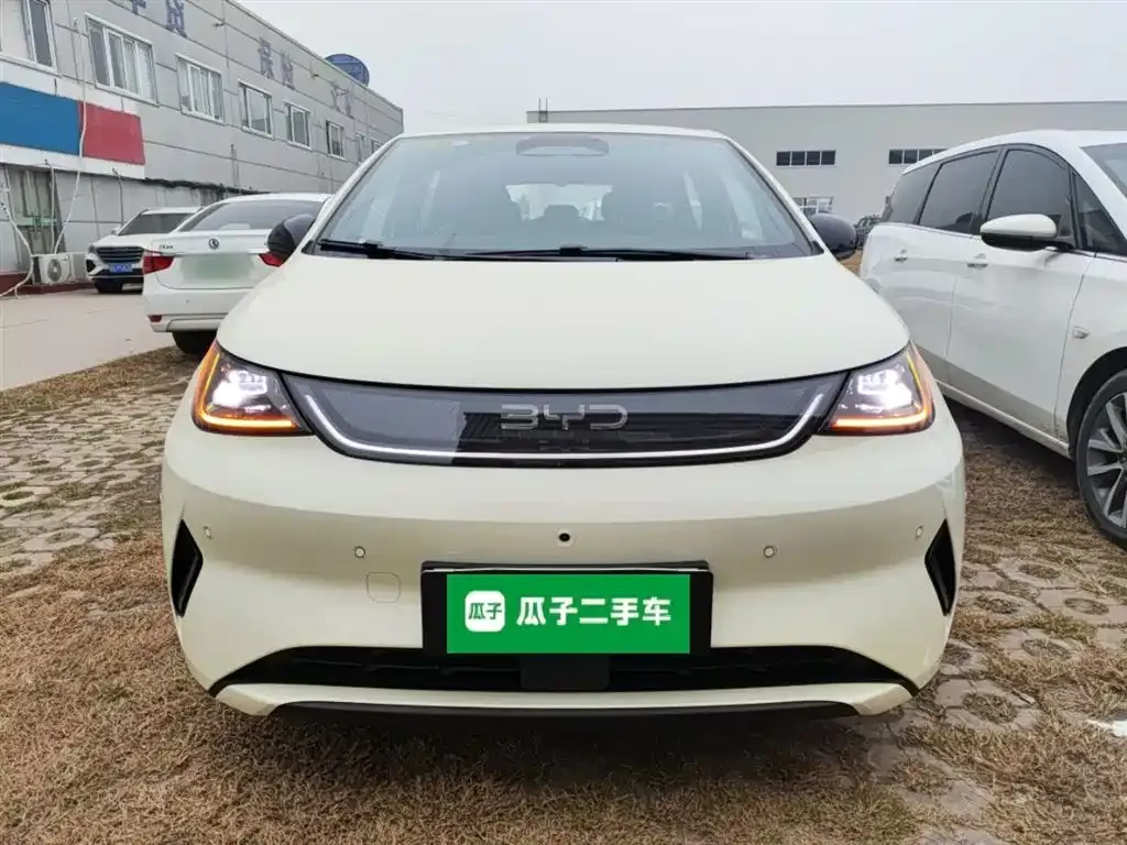 BYD Dolphin 2025 из CN, фото 3