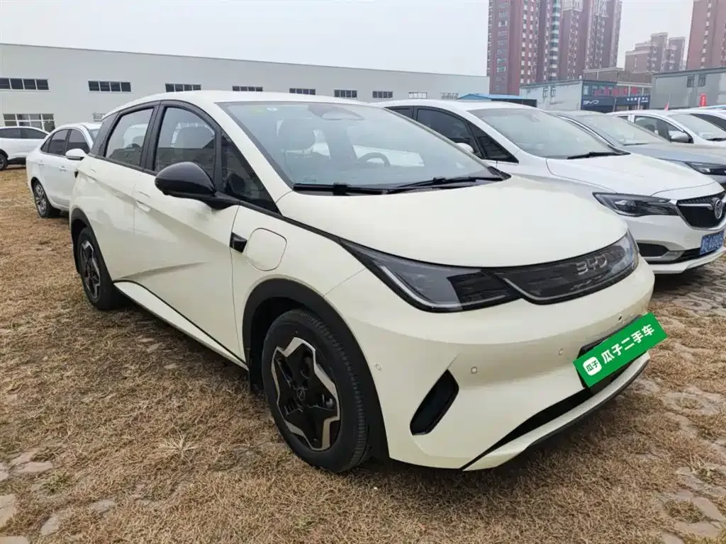 BYD Dolphin 2025 из CN, фото 4