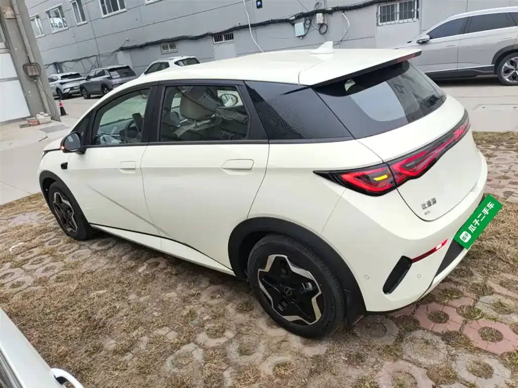 BYD Dolphin 2025 из CN, фото 5