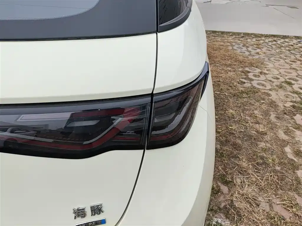 BYD Dolphin 2025 из CN, фото 8