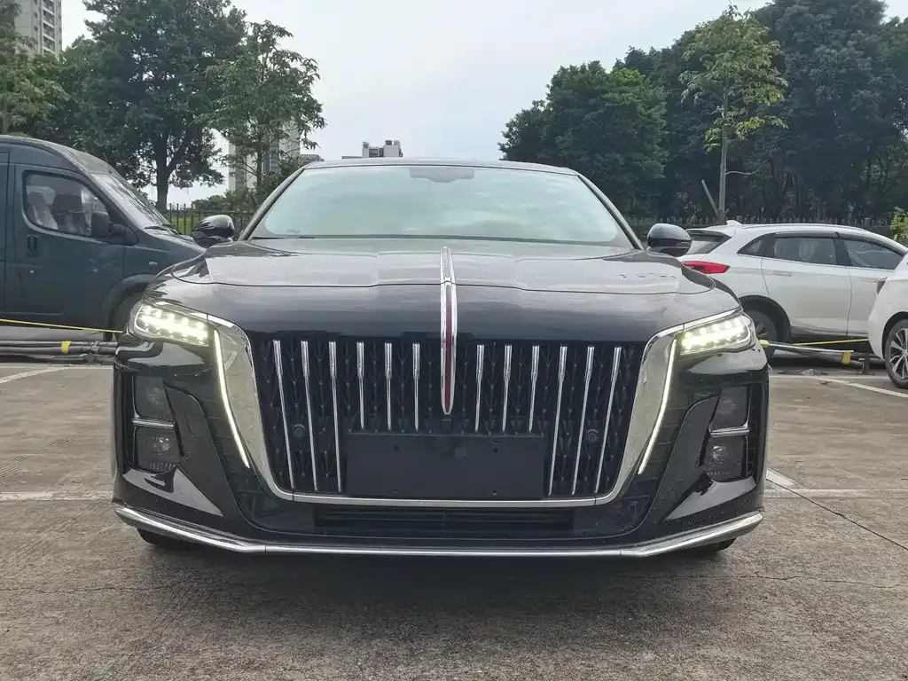 Hongqi H5 2023 из CN, фото 2