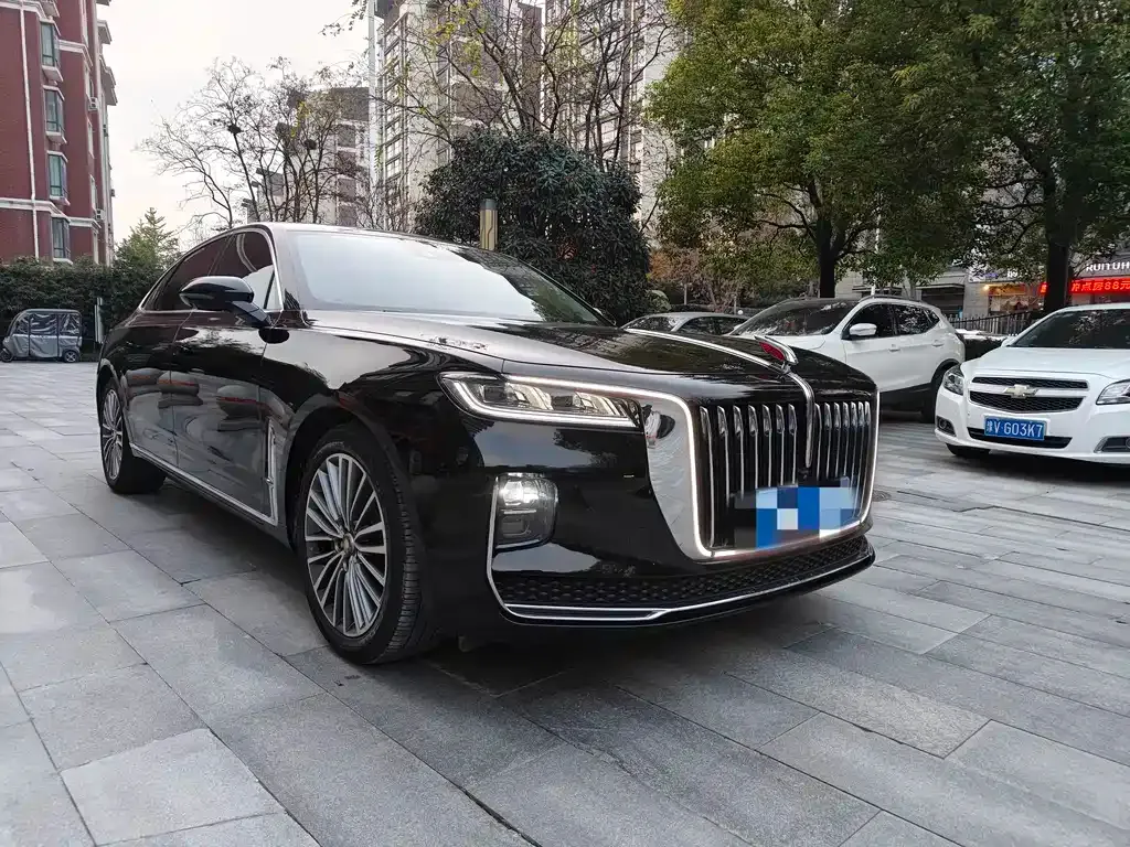 Hongqi H9 2022 из CN, фото 3