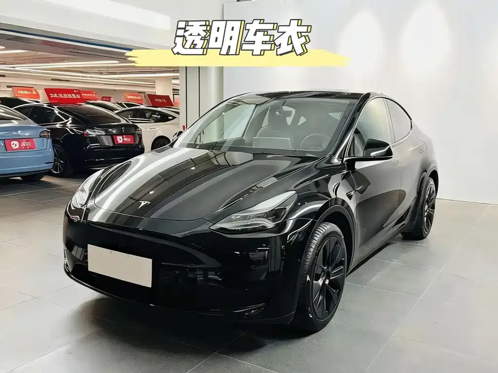 Tesla Model Y — фото 1