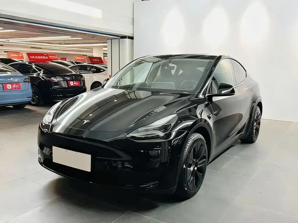 Tesla Model Y — фото 2