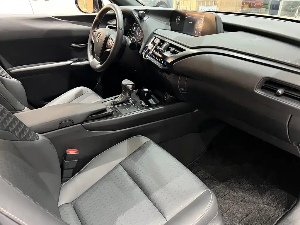 Lexus UX 2021 из CN, фото 6