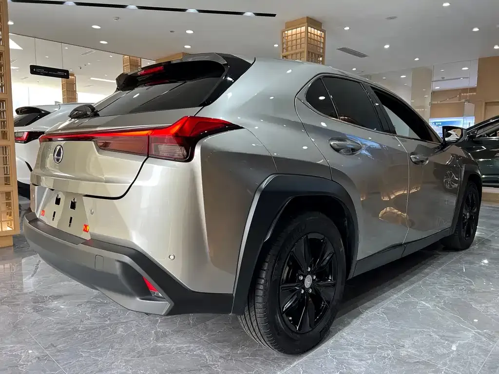 Lexus UX 2021 из CN, фото 7