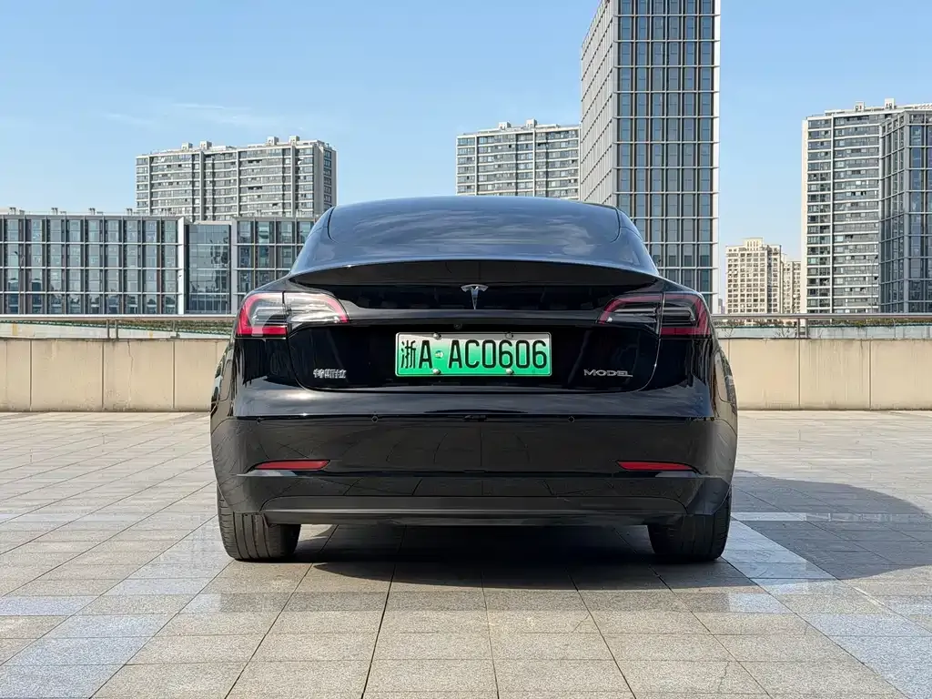 Tesla Model 3 2022 из CN, фото 6