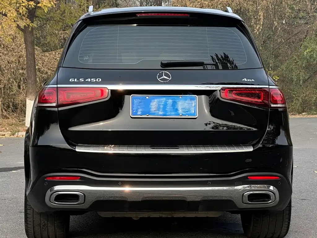 Mercedes-Benz GLS 2024 из CN, фото 5