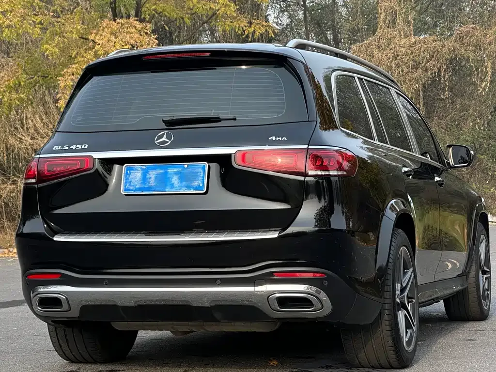 Mercedes-Benz GLS 2024 из CN, фото 6