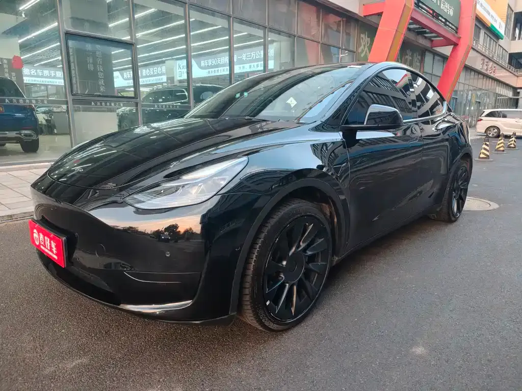 Tesla Model Y — фото 1