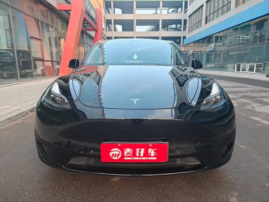 Tesla Model Y — фото 2